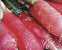 RADIS candela di fuoco.jpg