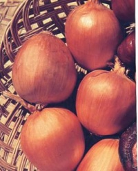 Ramata di milano.jpg