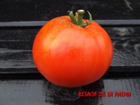 Resaca de la palma.jpg