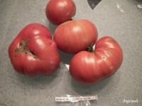 Rosado de la Sierra Aracena.jpg