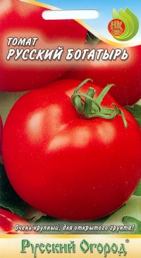 Russia bogatyr-1.jpg