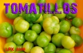 SOLANUM toma verde-1.jpg