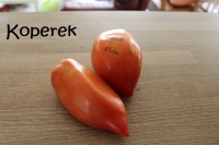 Sarnowski Polish Plum.jpg