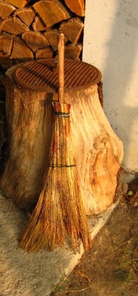 Sorgho pour balais-1.jpg