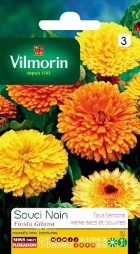 Souci Fiesta Gitana varié-1.jpg