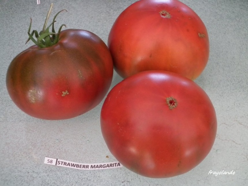 Fichier:Strawberry margarita.jpg