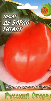 TOMATE De barao gigant-1.jpg