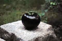 TOMATE Galaxy black.jpg