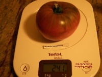 TOMATE Midnight in moscow.jpg