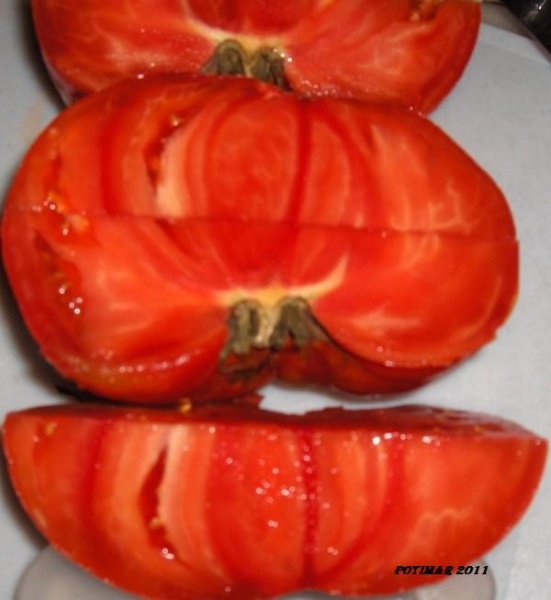Fichier:TOMATE Potimar-1.jpg