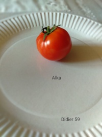 Tomate Alka.jpg