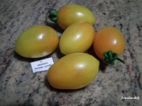 Tomate Ananas Prune Jaune-1.jpg