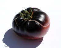 Tomate Black Beauty.jpg
