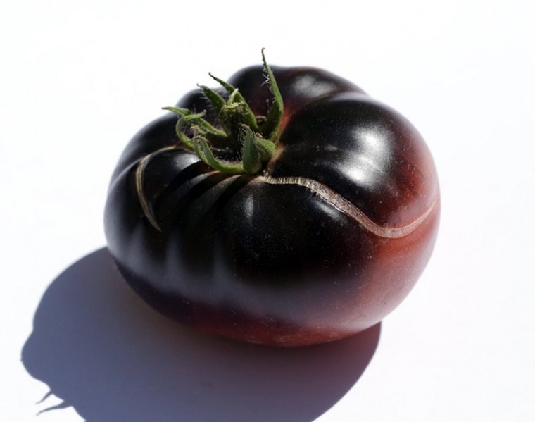 Fichier:Tomate Black Beauty.jpg
