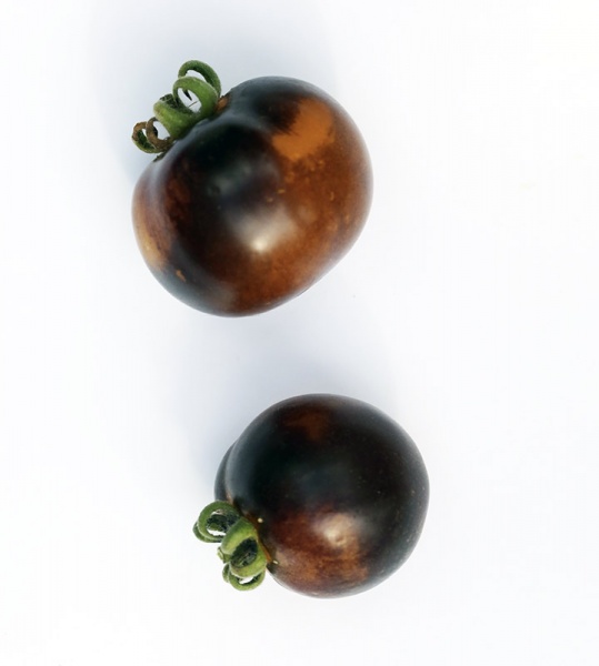 Fichier:Tomate Elma Blue.jpg