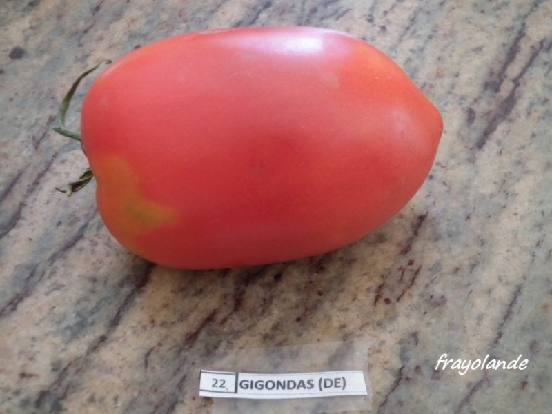 Fichier:Tomate Gigondas-1.jpg