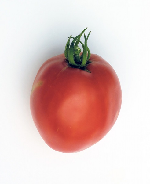 Fichier:Tomate Gigondas.jpg