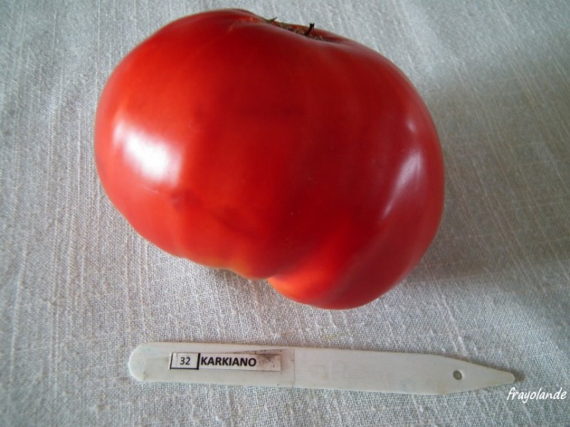 Fichier:Tomate KARKIANO.jpg