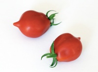 Tomate Mt. Vesuvius-1.jpg