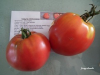 Tomate Otets Gorio-1.jpg