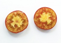 Tomate Pomehana Apple-1.jpg