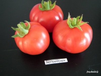 Tomate Rotkäppchen.jpg