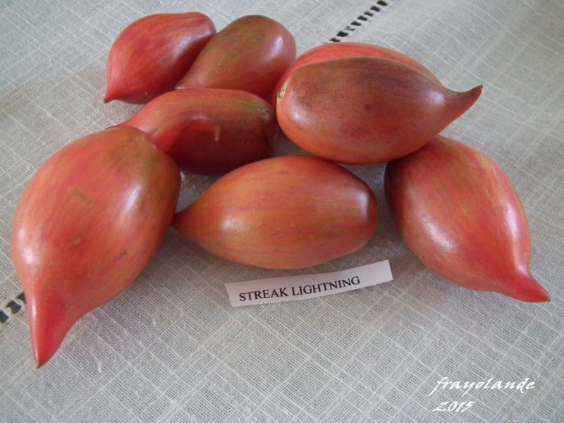 Fichier:Tomate Streak Lightning.jpg