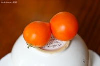 Tomate allure op-2.jpg