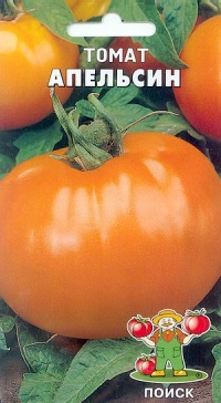 Tomate apfelsin orange op-1.jpg