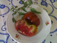 Tomate arbuznyi-2.jpg