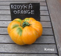 Tomate azoychka op.jpg