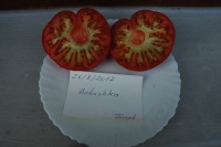 Tomate babuschka-2.jpg
