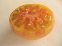 Tomate beauty queen-2.jpg