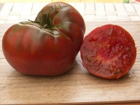 Tomate beefsteak.jpg