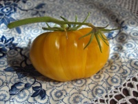 Tomate big yellow zebra-1.jpg
