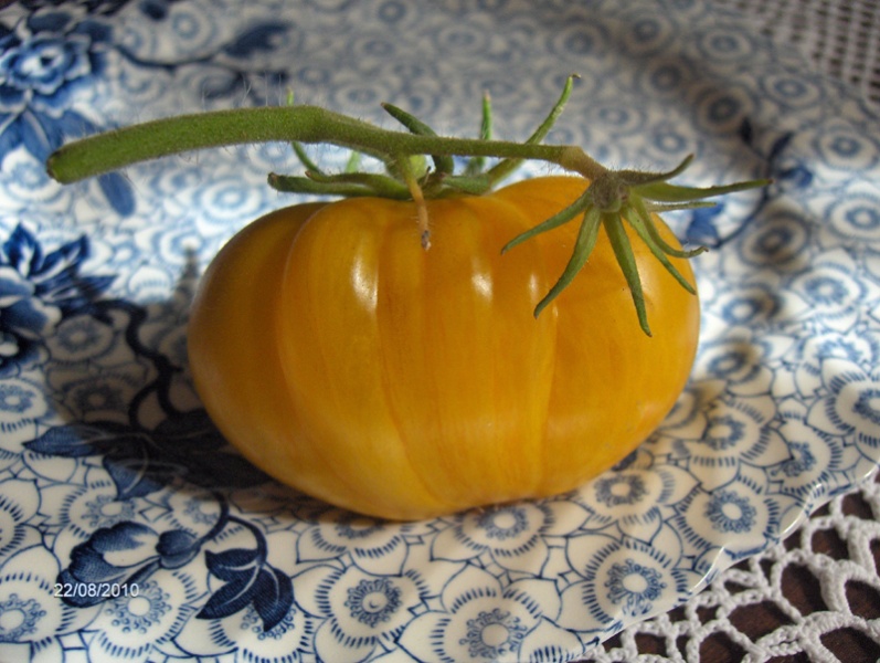 Fichier:Tomate big yellow zebra-1.jpg