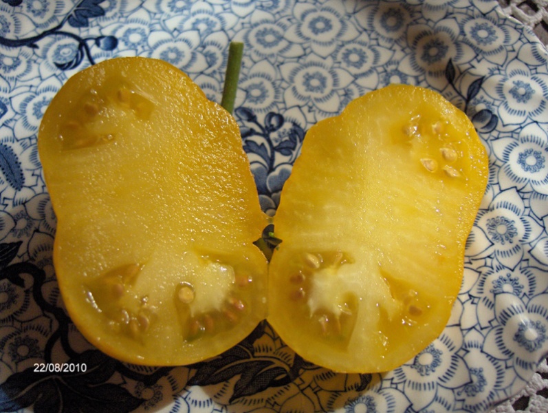 Fichier:Tomate big yellow zebra-2.jpg