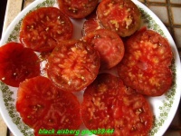Tomate black aisberg-2.jpg
