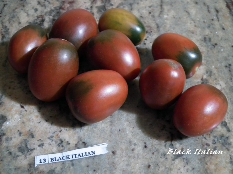 Fichier:Tomate black italian-1.jpg