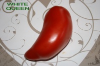 Tomate blue beech-2.jpg