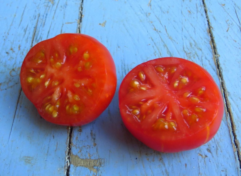 Fichier:Tomate calabacito rojo-1.jpg