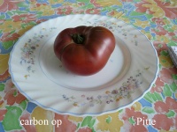 Tomate carbon op-2.jpg