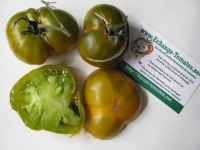 Tomate cherokee green op.jpg