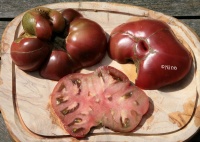 Tomate cherokee purple-3.jpg