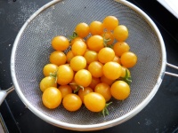 Tomate clémentine-2.jpg