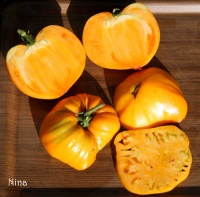 Tomate cleota yellow-2.jpg