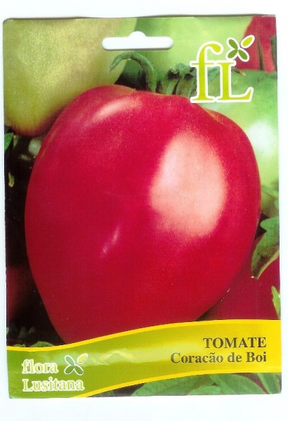 Fichier:Tomate coracao de boi-1.jpg