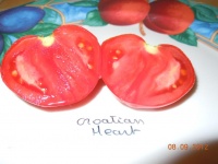 Tomate croatian heart-2.jpg