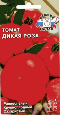 Tomate dikaja rosa-1.jpg