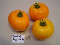 Tomate earl of edgecombe.jpg